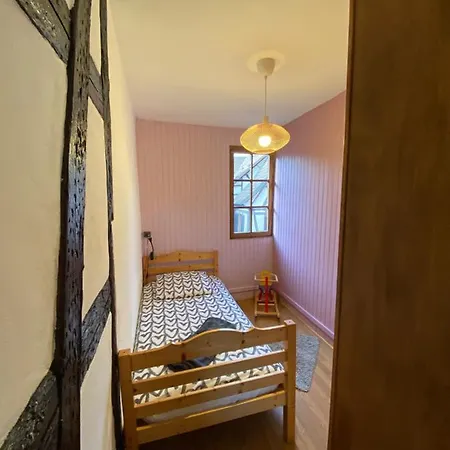Le Petit Nid Ferienhaus Hunawihr