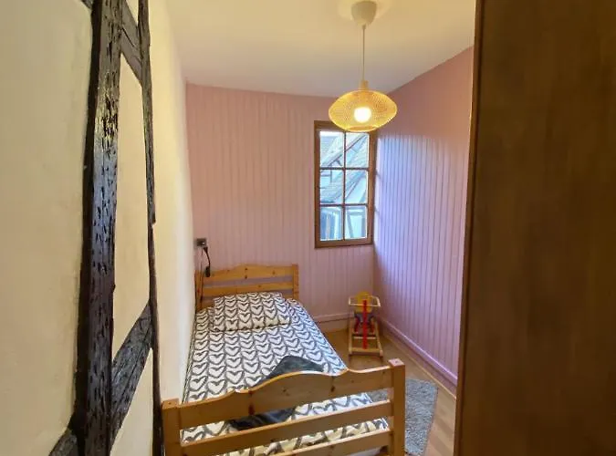 Le Petit Nid Ferienhaus Hunawihr